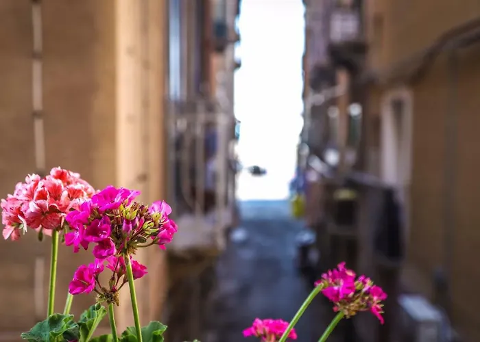 Appartement Greta House